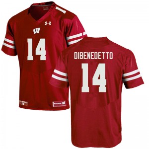 Men's Wisconsin Badgers Jordan DiBenedetto #14 Stitched Red Jersey 747699-105