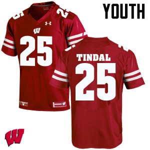 Youth Wisconsin Badgers Derrick Tindal #25 Red College Jerseys 421609-940