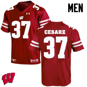 Men Wisconsin Badgers Ethan Cesarz #37 Player Red Jerseys 649503-274