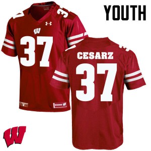 Youth Wisconsin Badgers Ethan Cesarz #37 Red Official Jersey 913308-151
