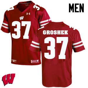 Mens Wisconsin Badgers Garrett Groshek #14 Red Football Jersey 332450-728