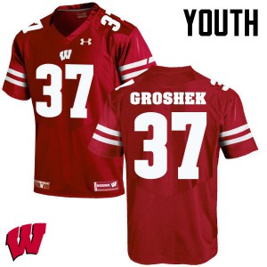 Youth Wisconsin Badgers Garrett Groshek #14 High School Red Jerseys 920500-305