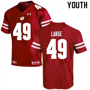 Youth Wisconsin Badgers Cam Large #49 Red NCAA Jerseys 718343-953