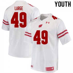 Youth Wisconsin Badgers Cam Large #49 White University Jersey 817448-103